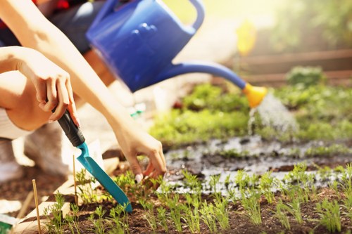 Tree removal service in Yiewsley for a residential garden