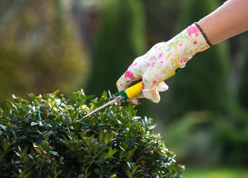 Secure payment interface for Tree Surgeons Yiewsley