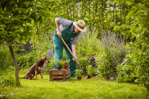 Professional emergency tree work for homes and businesses in Yiewsley