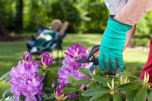 Free quote policy for tree surgeons in Yiewsley with transparent pricing