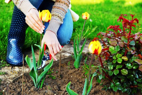 Keyboard navigation and accessible browsing for Yiewsley tree care