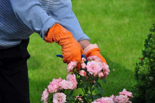 Tree care specialist in Yiewsley managing a large garden tree