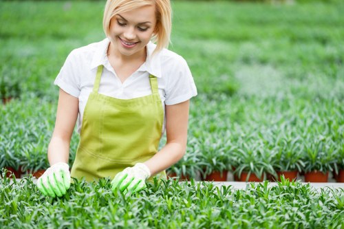 Professional tree care and crown management in a local garden